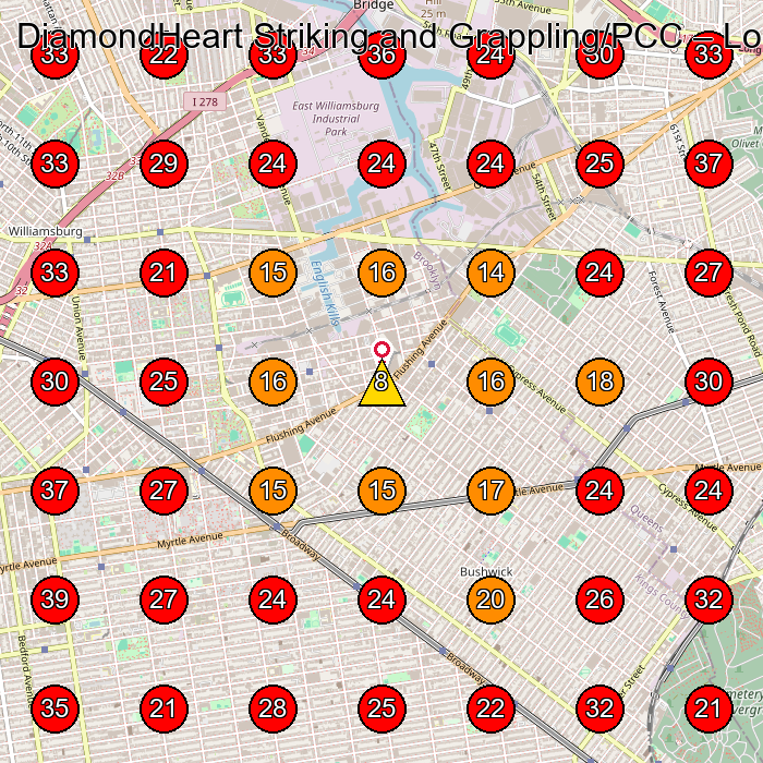 DiamondHeart Striking and Grappling/PCC GeoGrid visibility map for Martial Arts School in Brooklyn